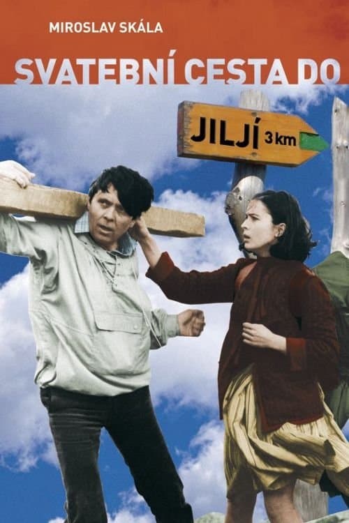 Poster Bridal Tour to Jilji
