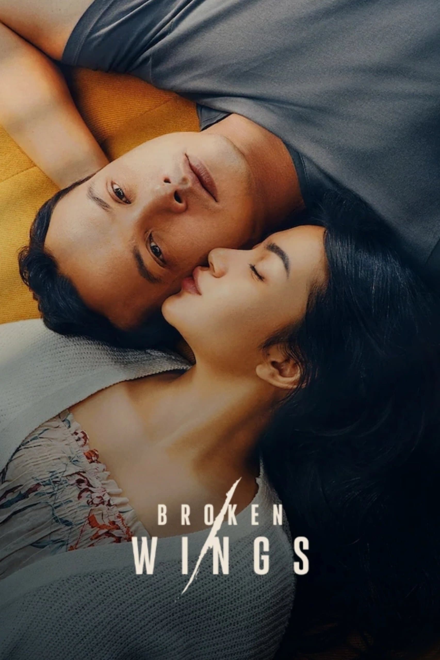 Poster Broken Wings