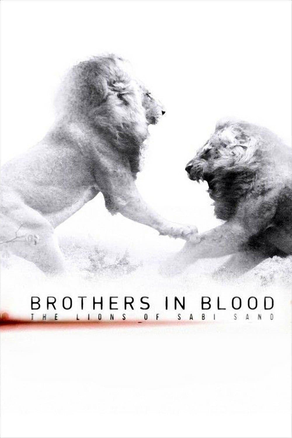 Poster Brothers in Blood: The Lions of Sabi Sand