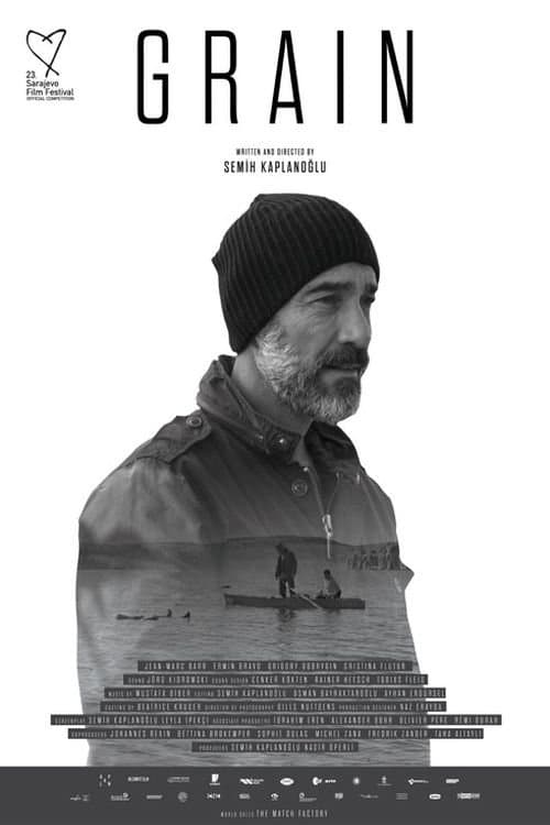 Poster Buğday