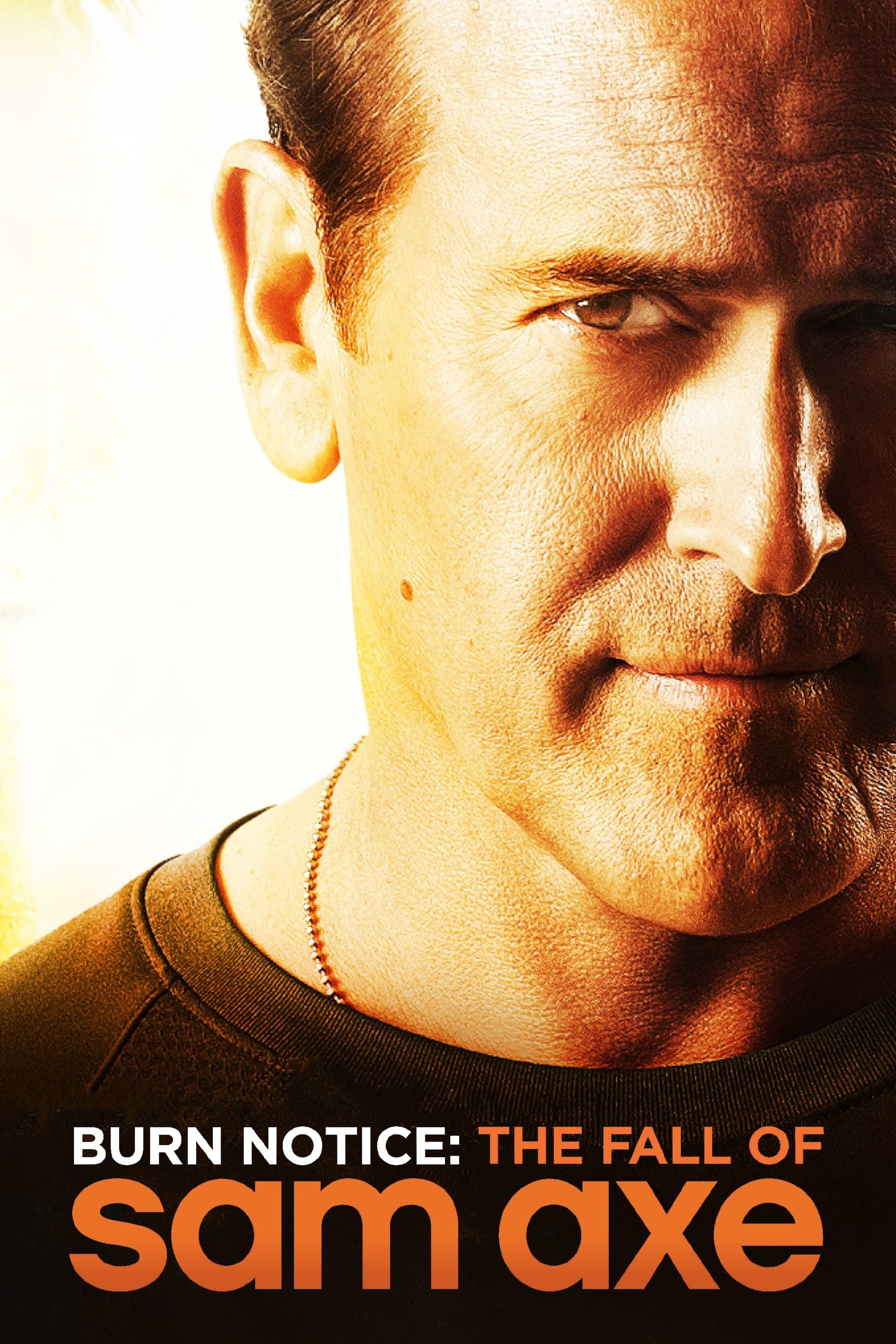 Poster Burn Notice: The Fall of Sam Axe