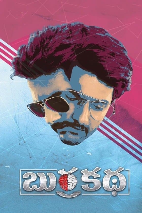 Poster Burra Katha