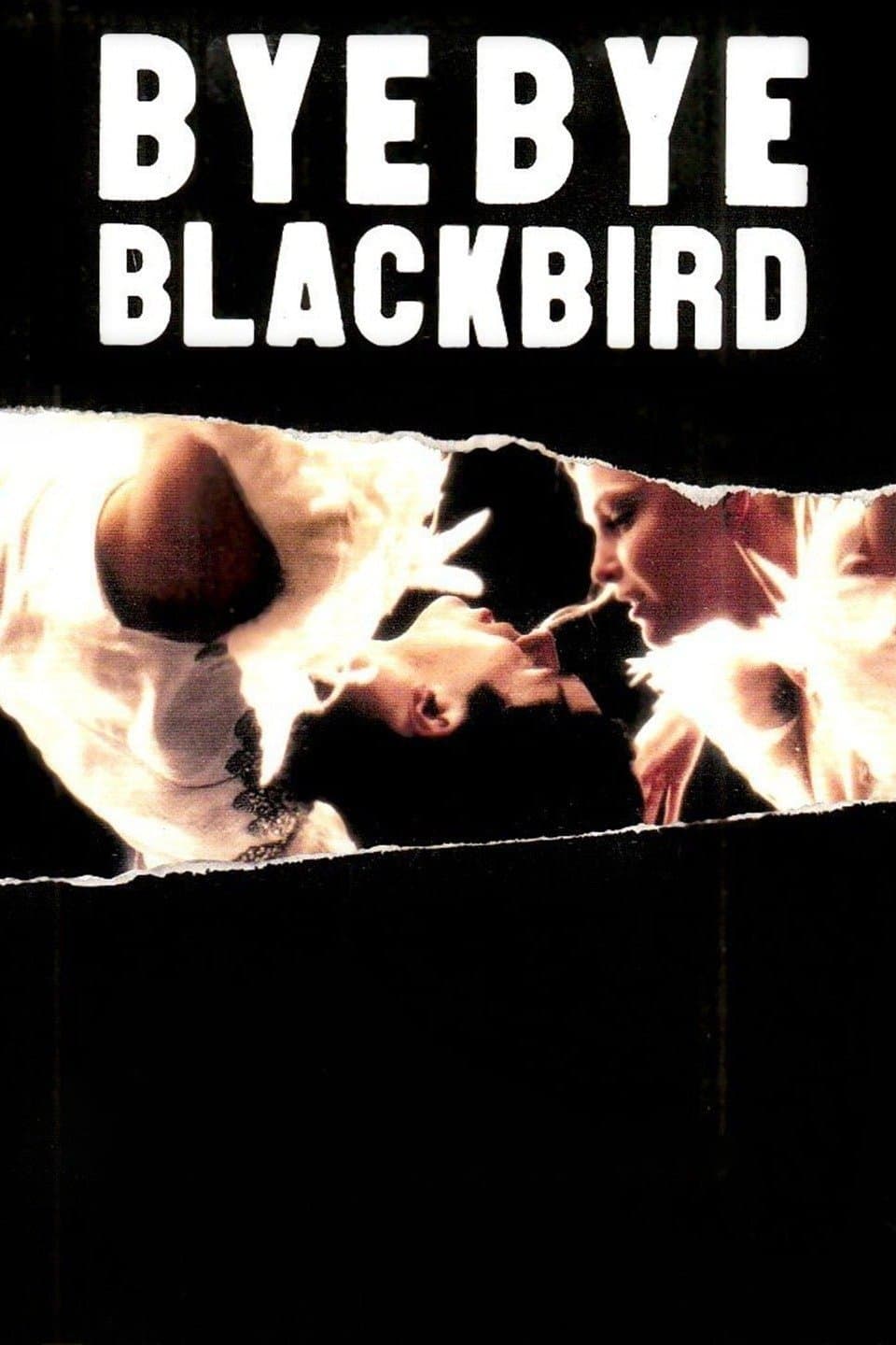 Poster Bye Bye Blackbird