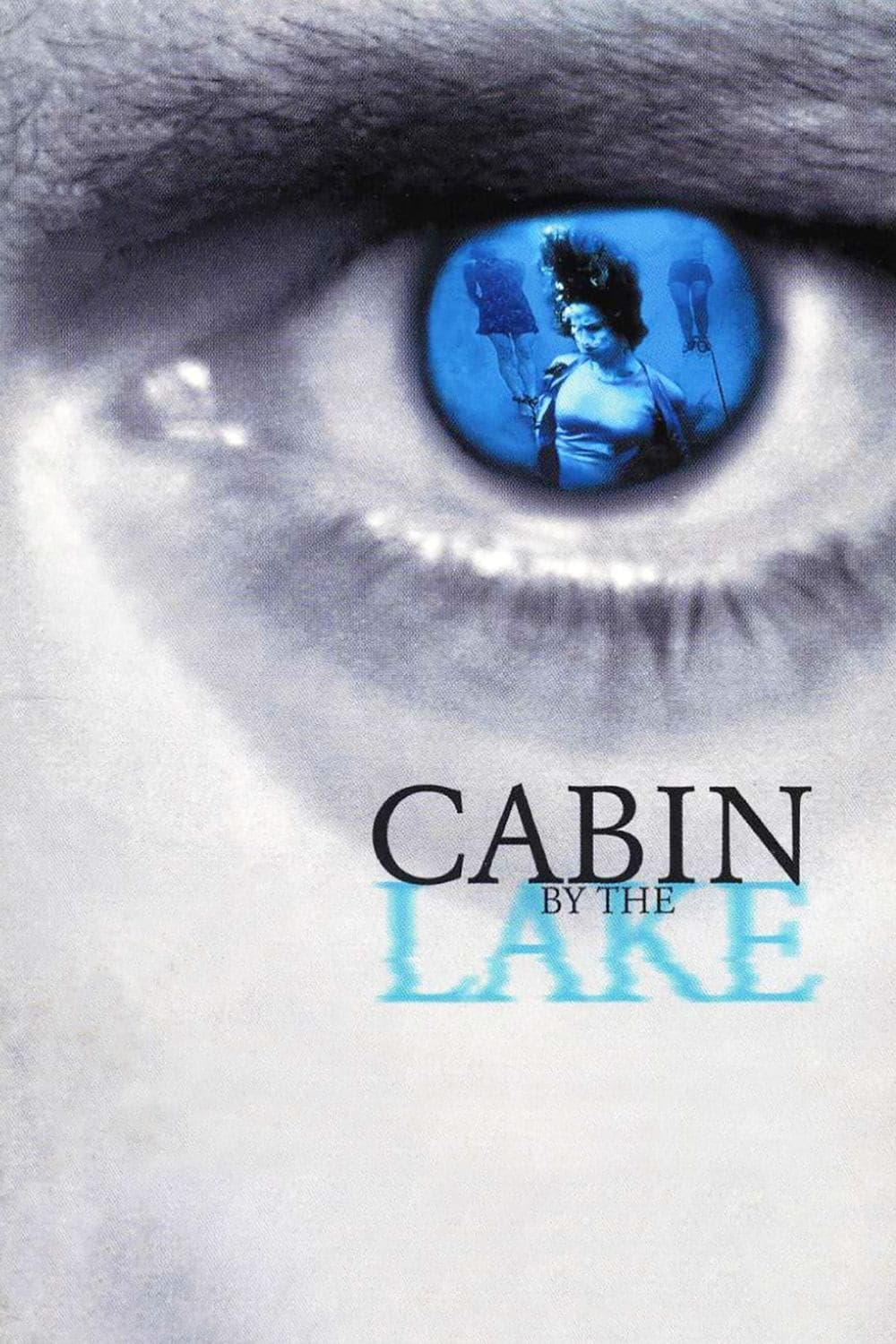 Poster Cabin by the Lake