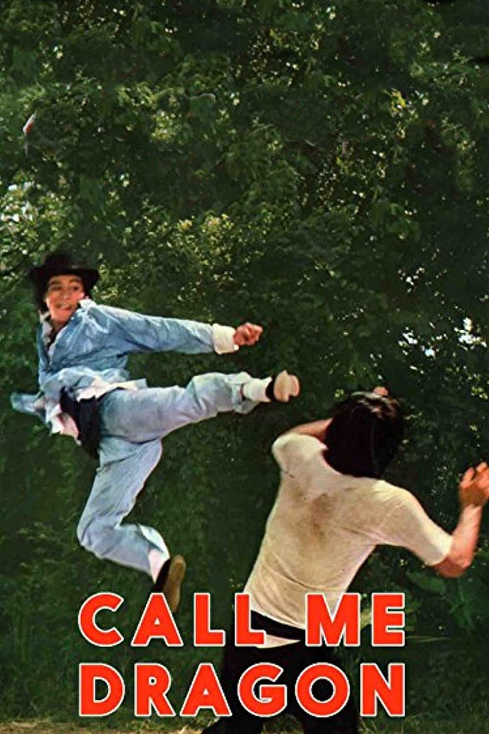 Poster Call Me Dragon
