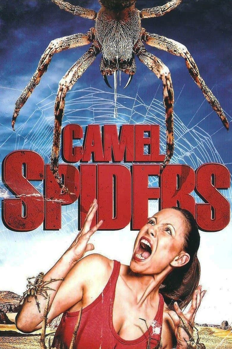 Poster Camel Spiders