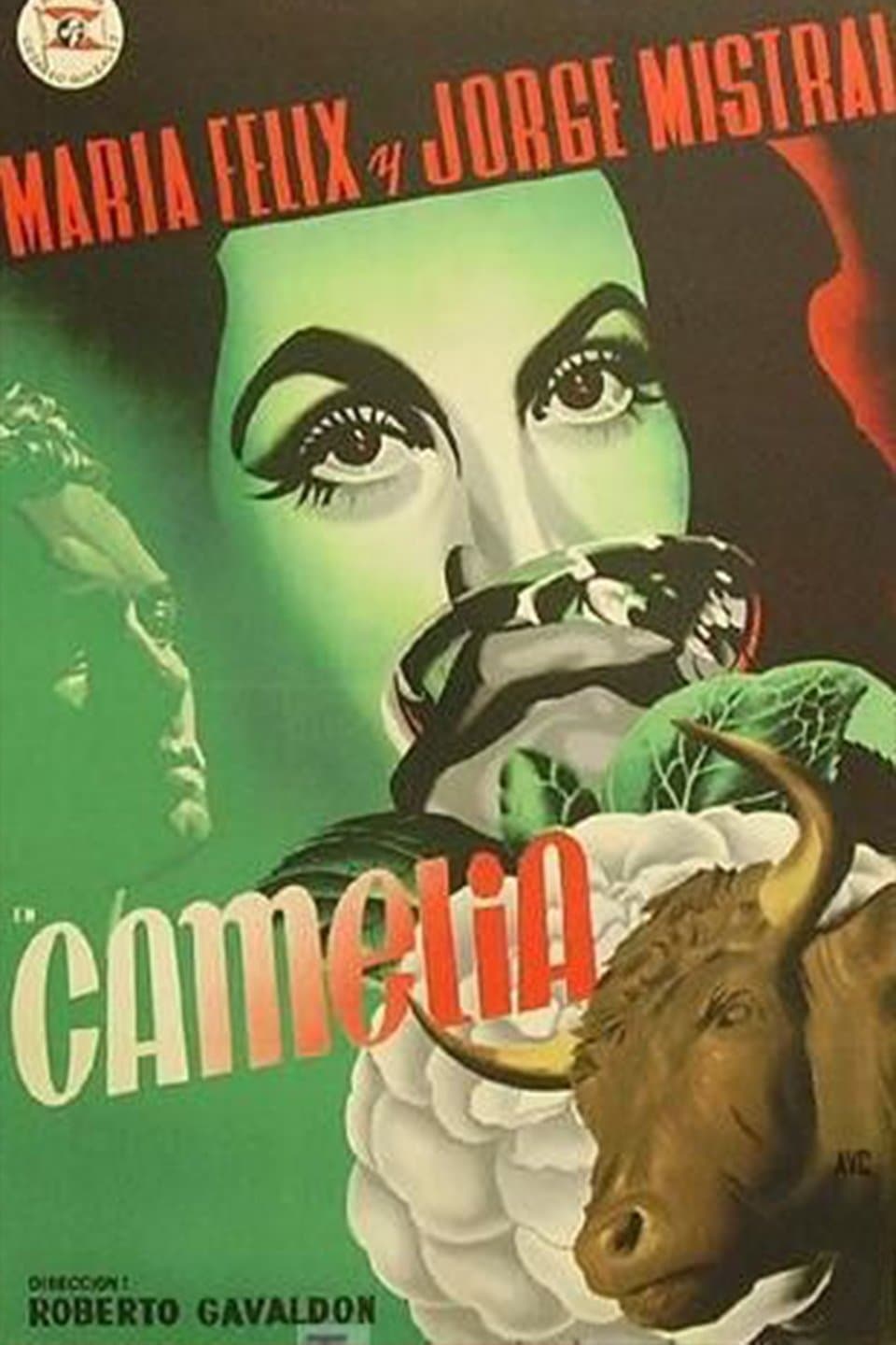 Poster Camelia