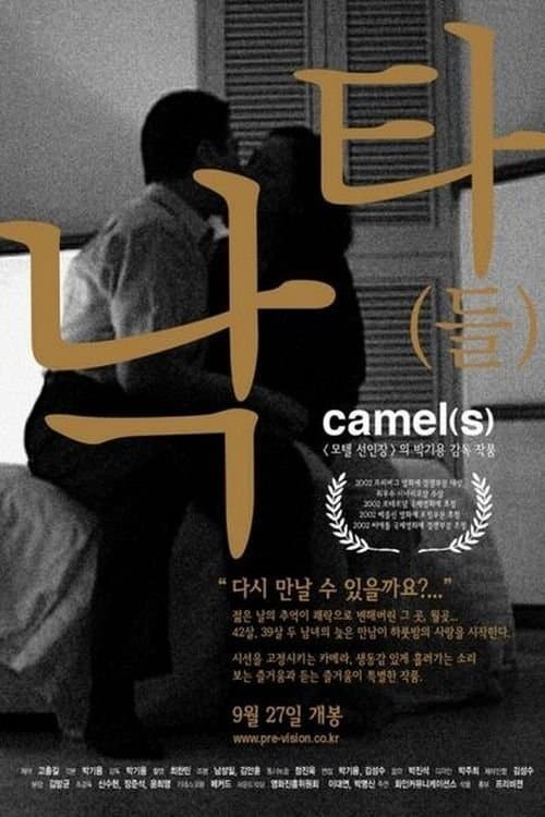 Poster Camel(s)