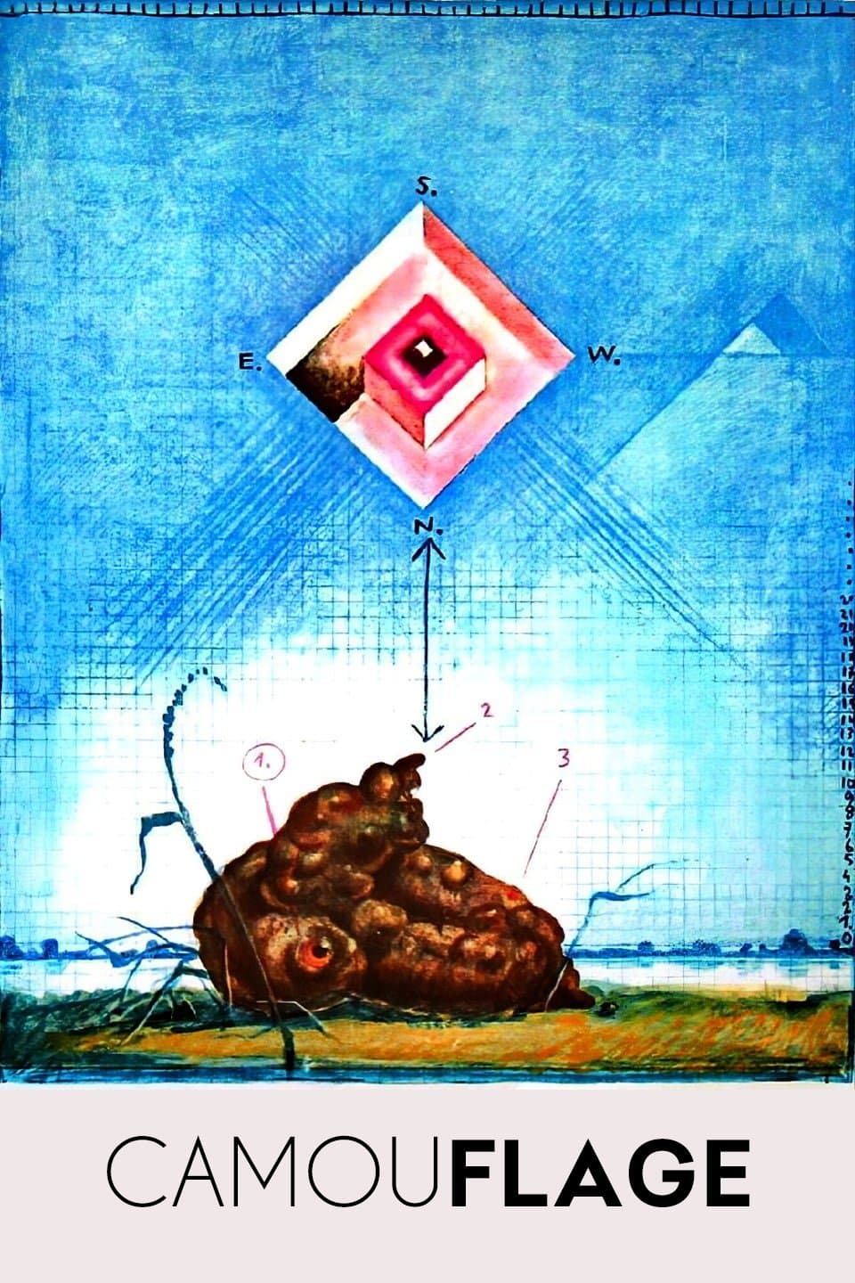 Poster Camouflage