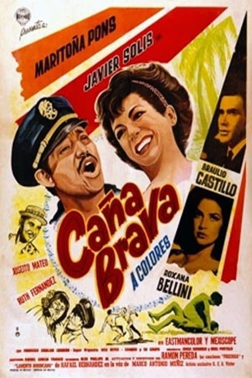 Poster Caña brava