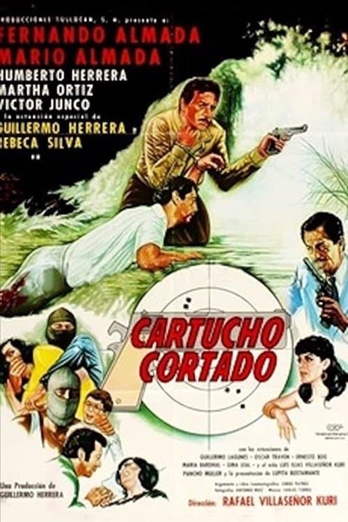 Poster Cartucho cortado
