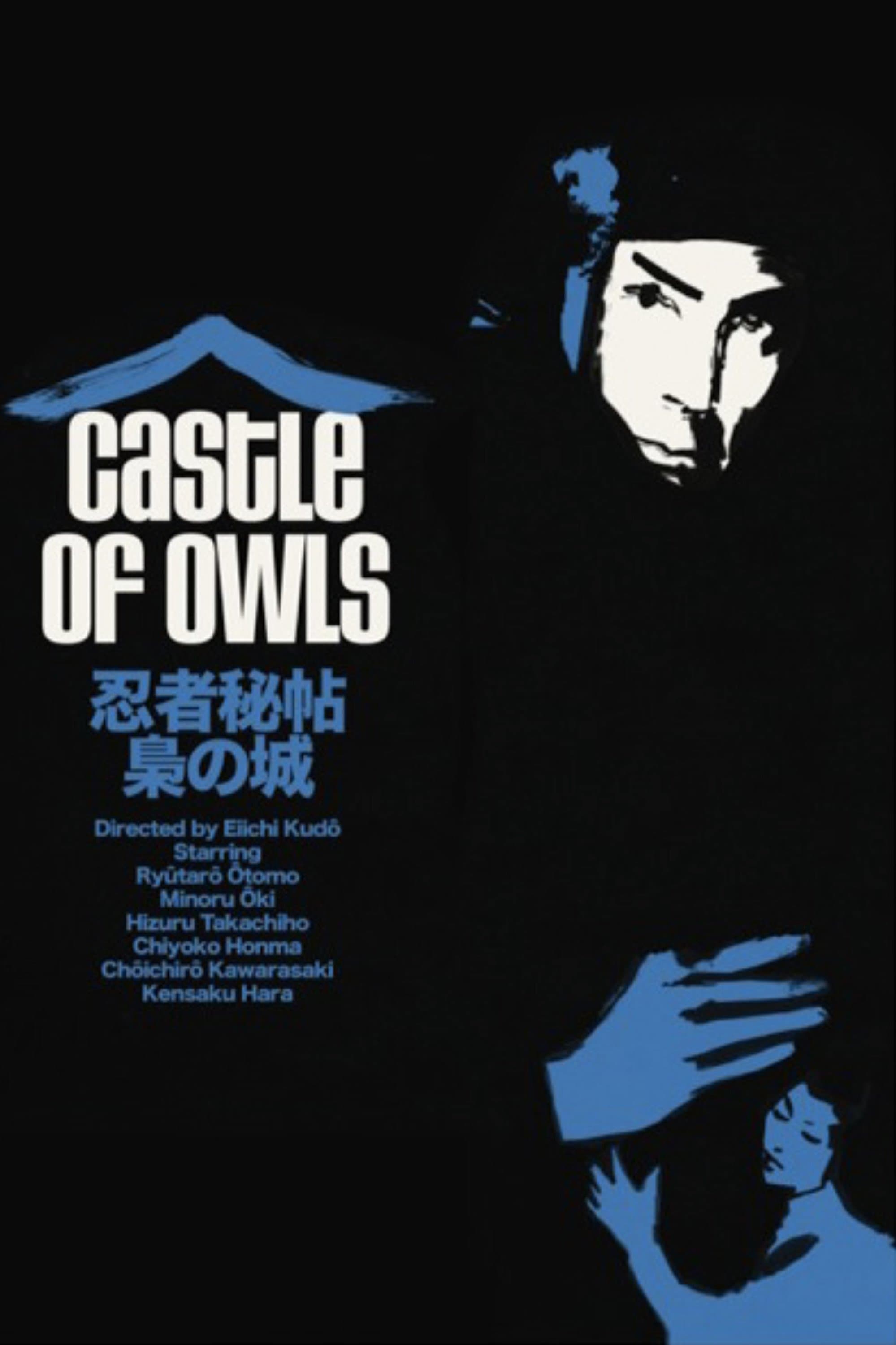 Poster Castle of Owls