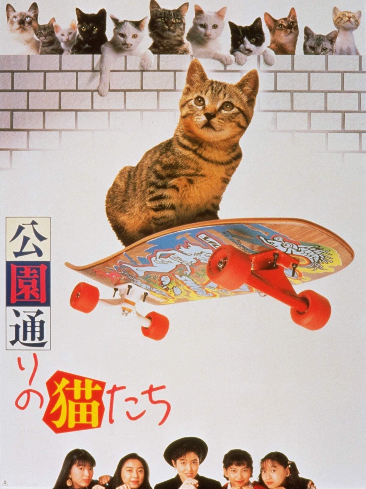 Poster Cats on Park Avenue
