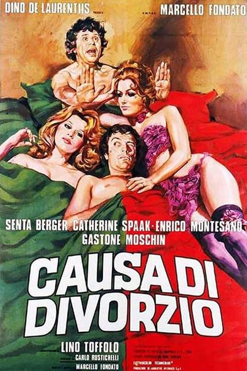 Poster Cause of Divorce