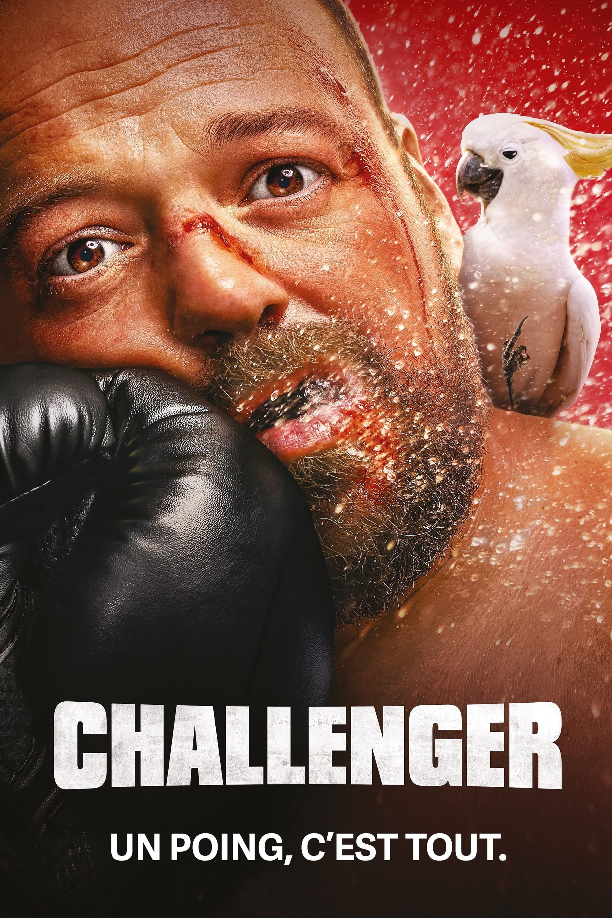 Poster Challenger