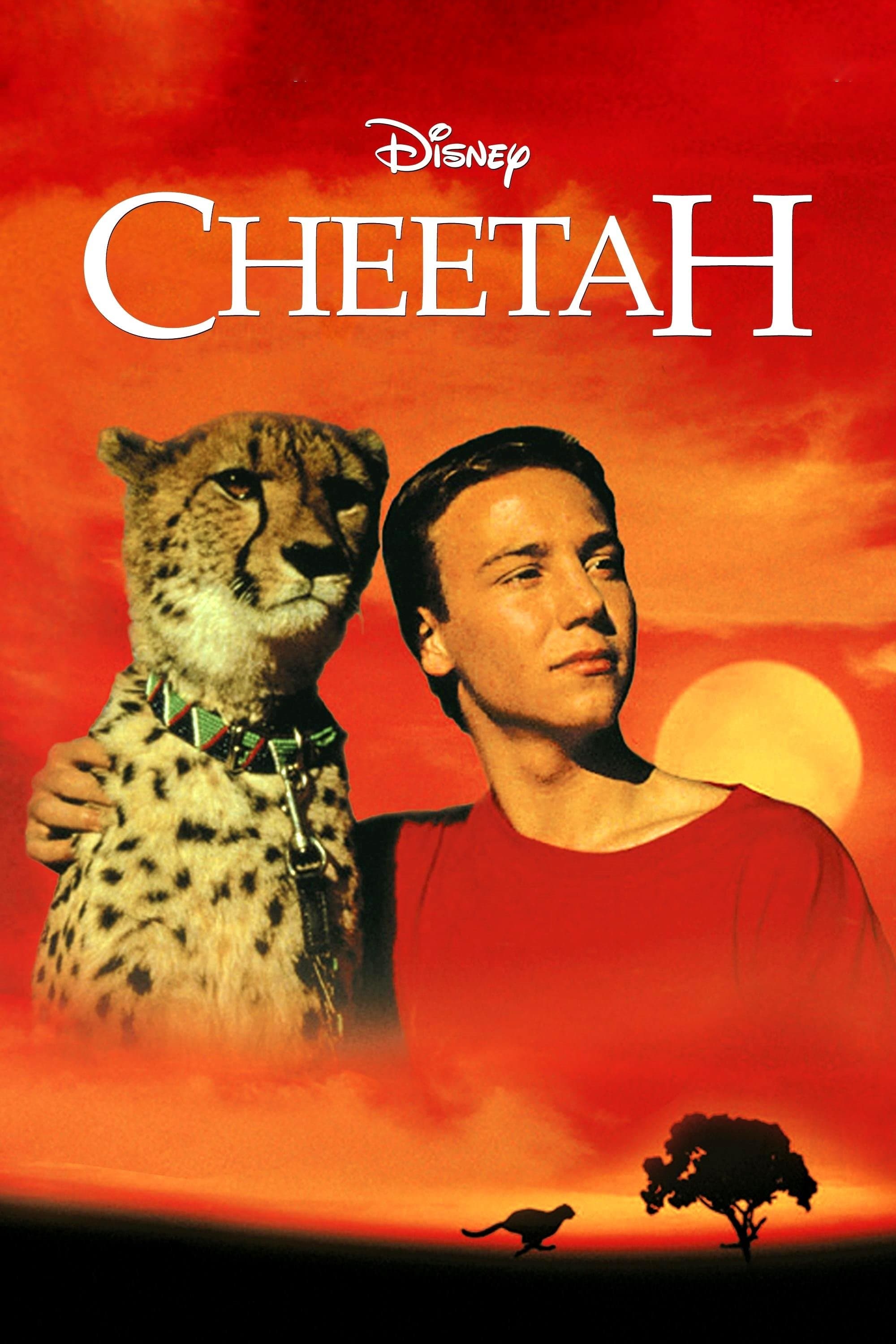 Poster Cheetah
