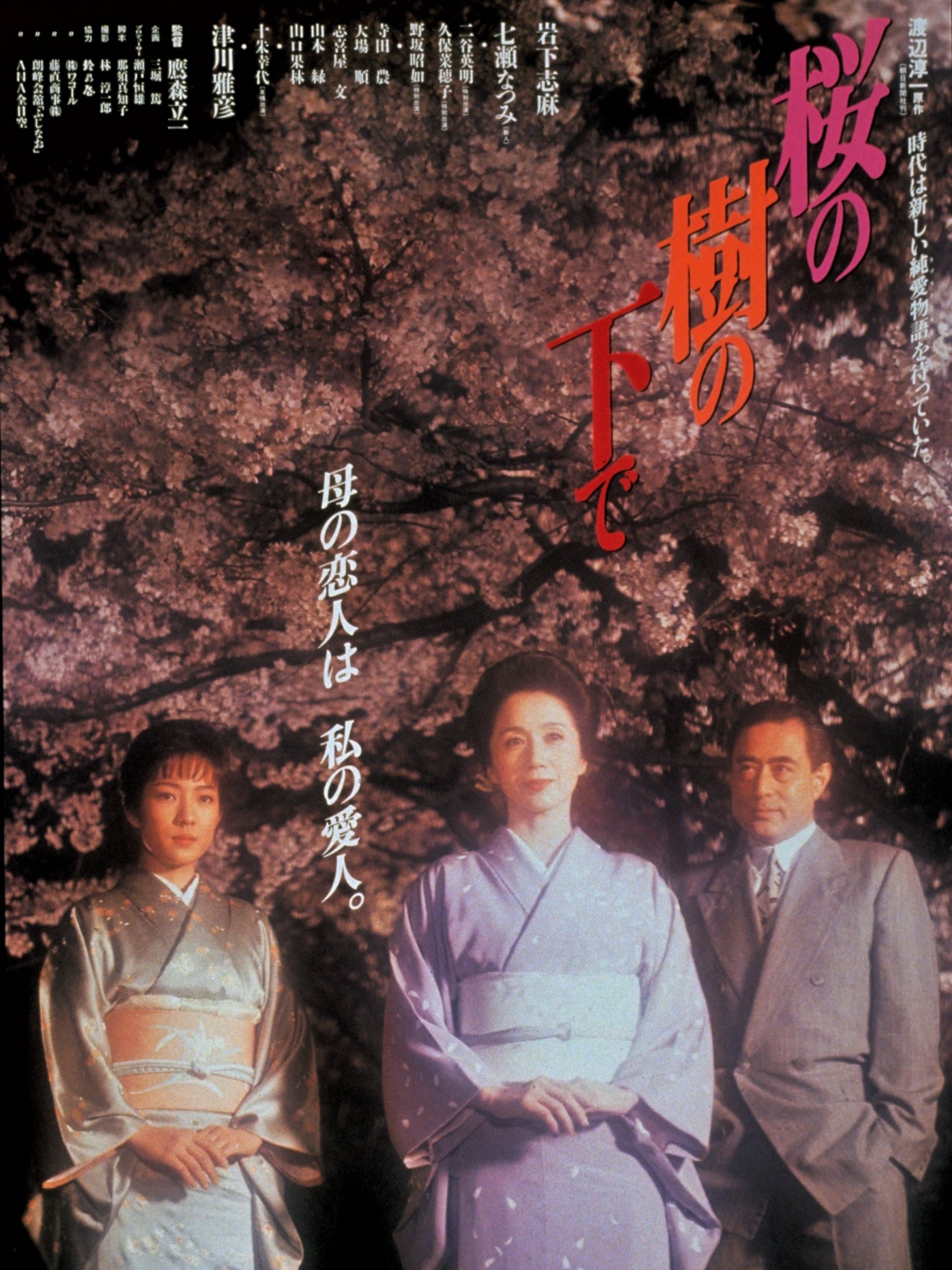 Poster Cherry Blossoms