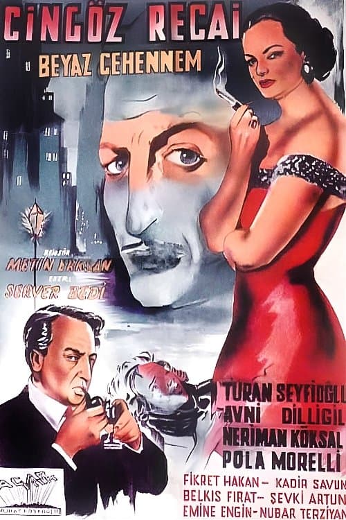 Poster Cingöz Recai