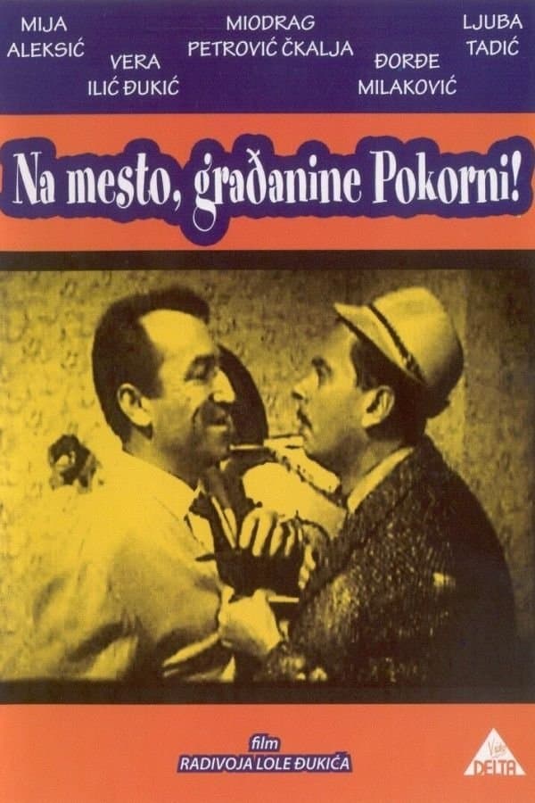 Poster Citizen Pokorni