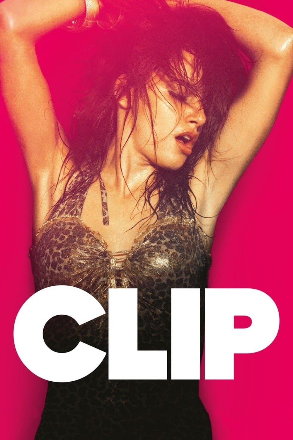 Poster Clip