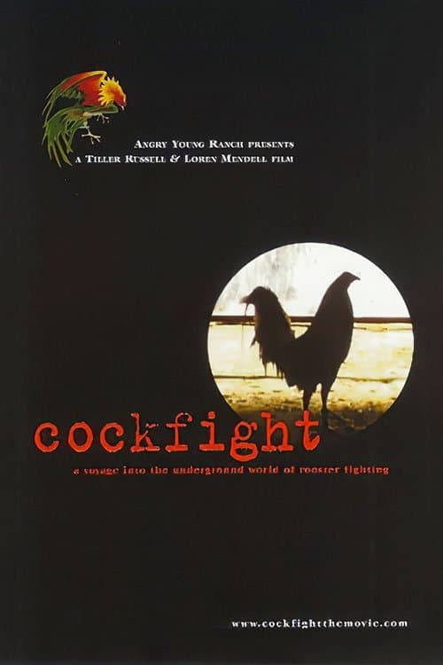 Poster Cockfight