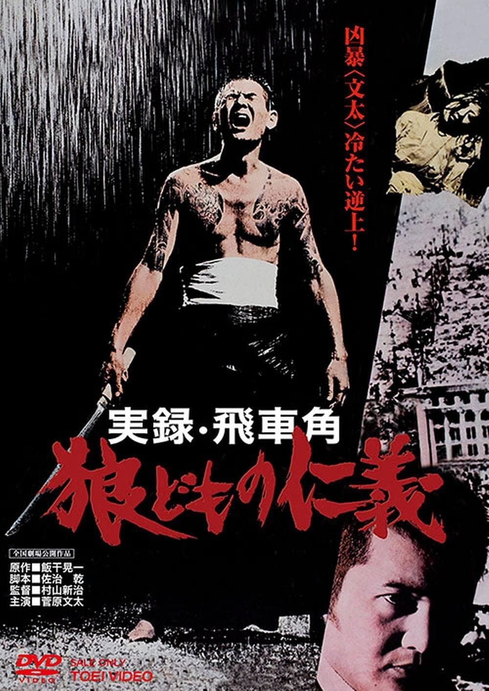 Poster Code of Wolves