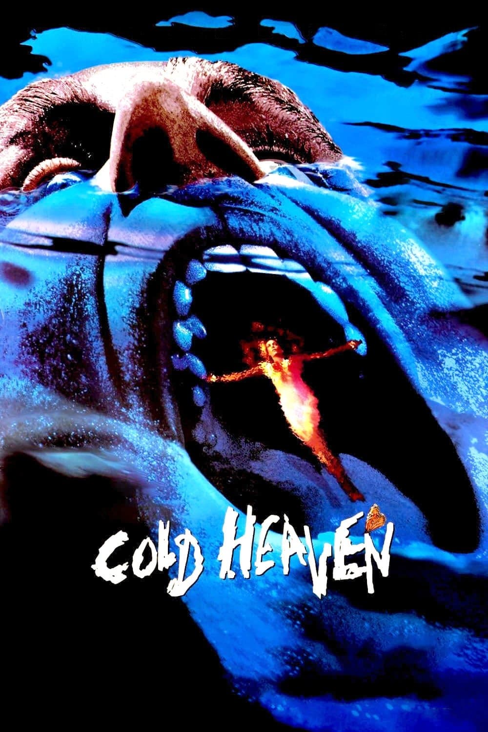 Poster Cold Heaven