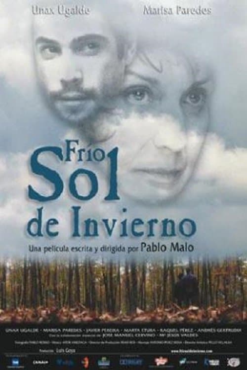 Poster Cold Winter Sun