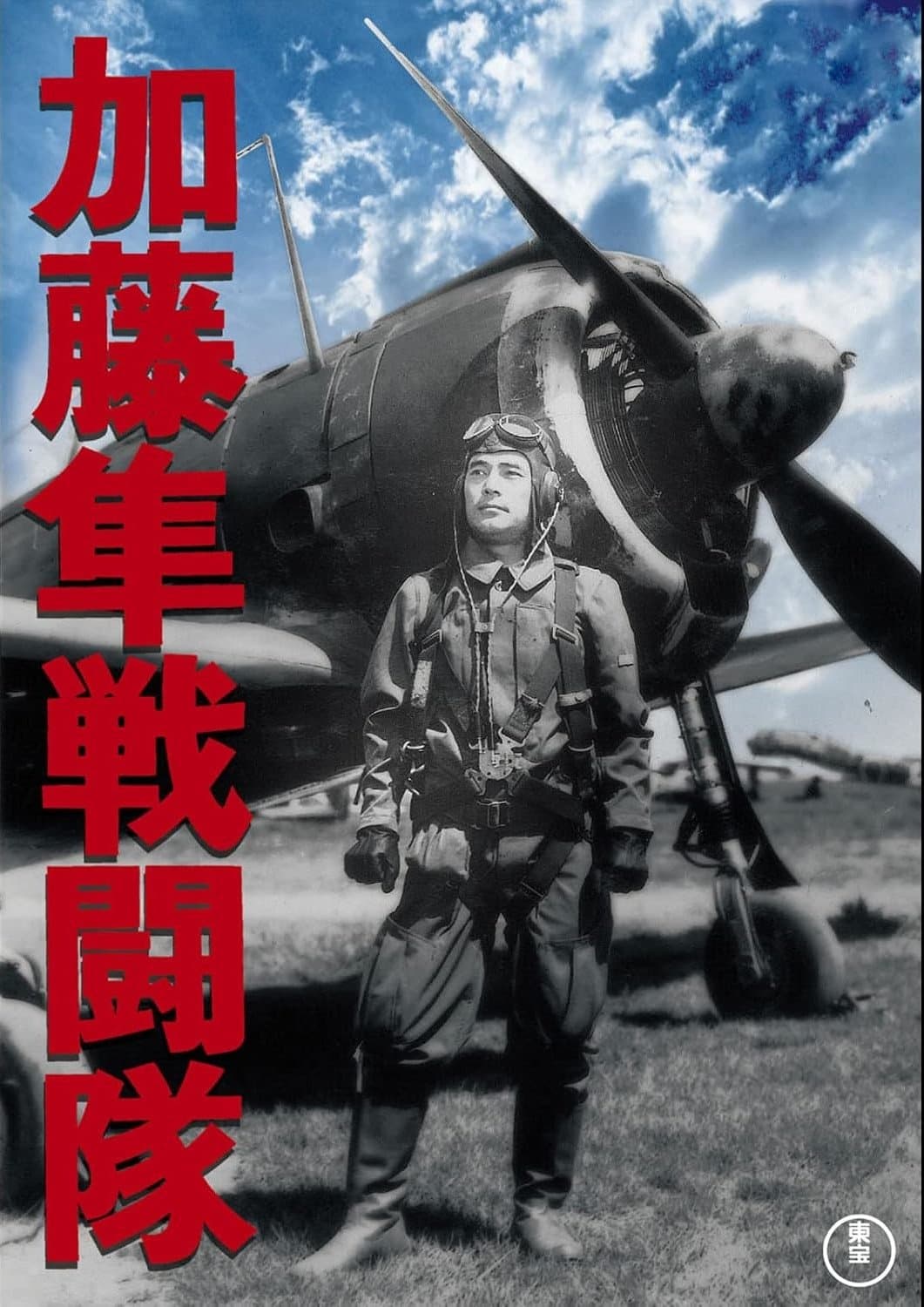 Poster Colonel Kato's Falcon Squadron