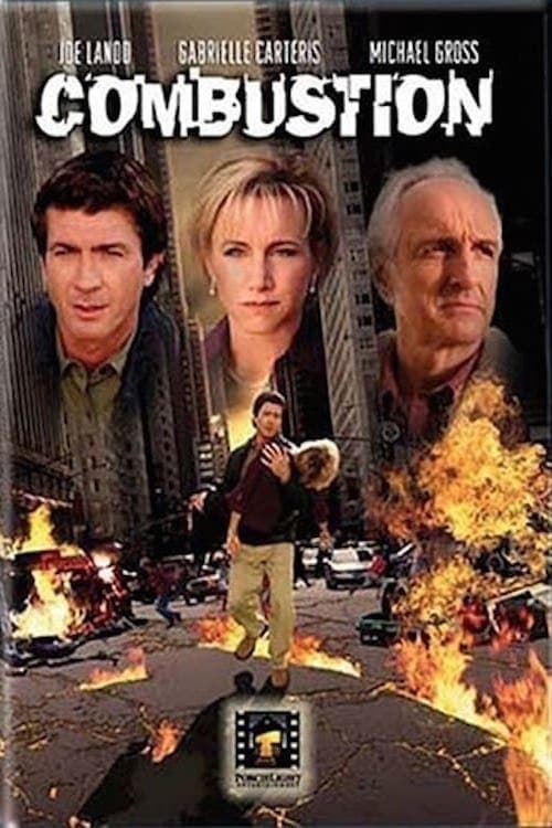Poster Combustion