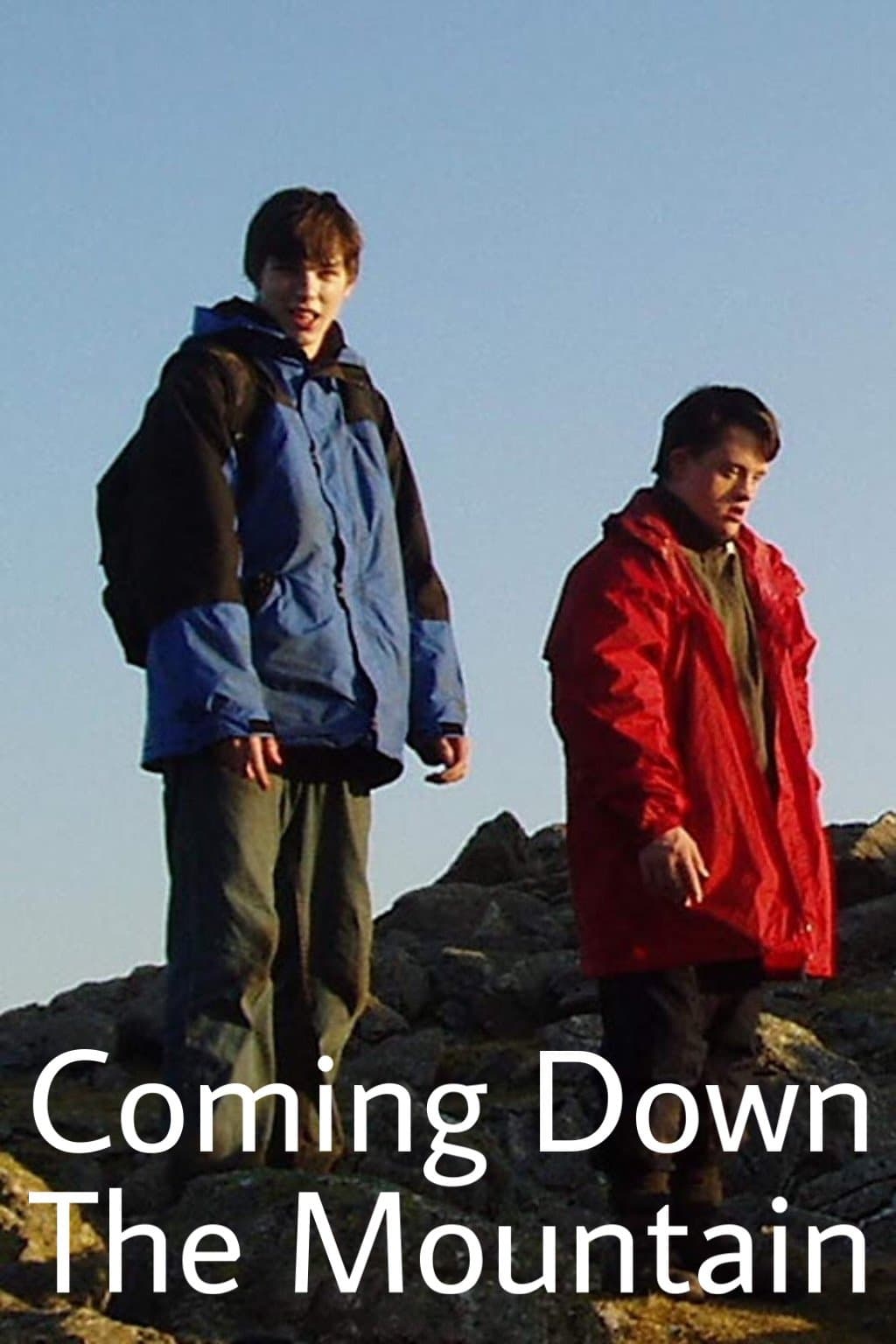 Poster Coming Down the Mountain