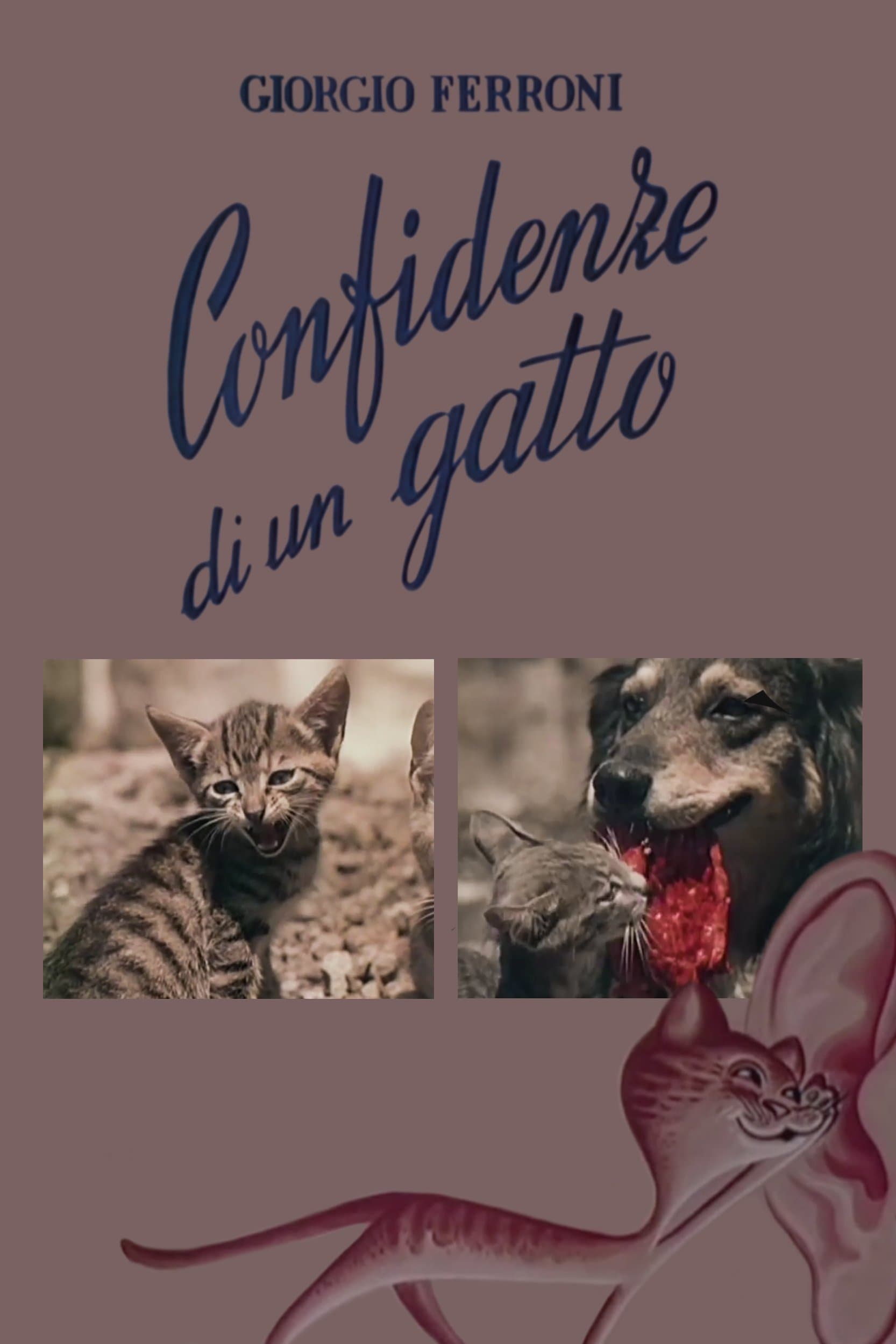 Poster Confidenze di un gatto
