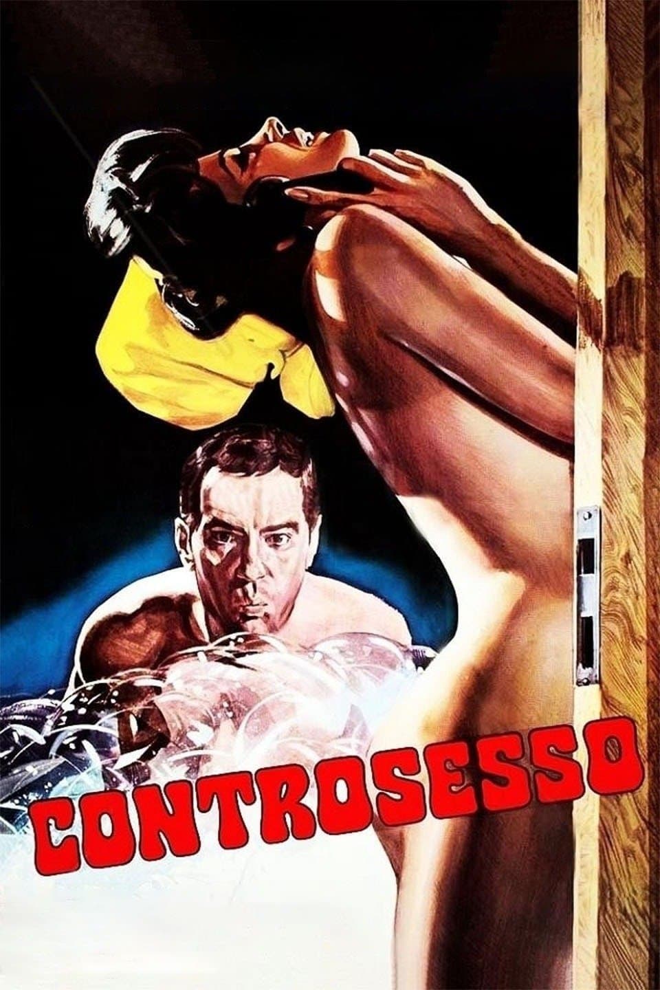 Poster Controsesso