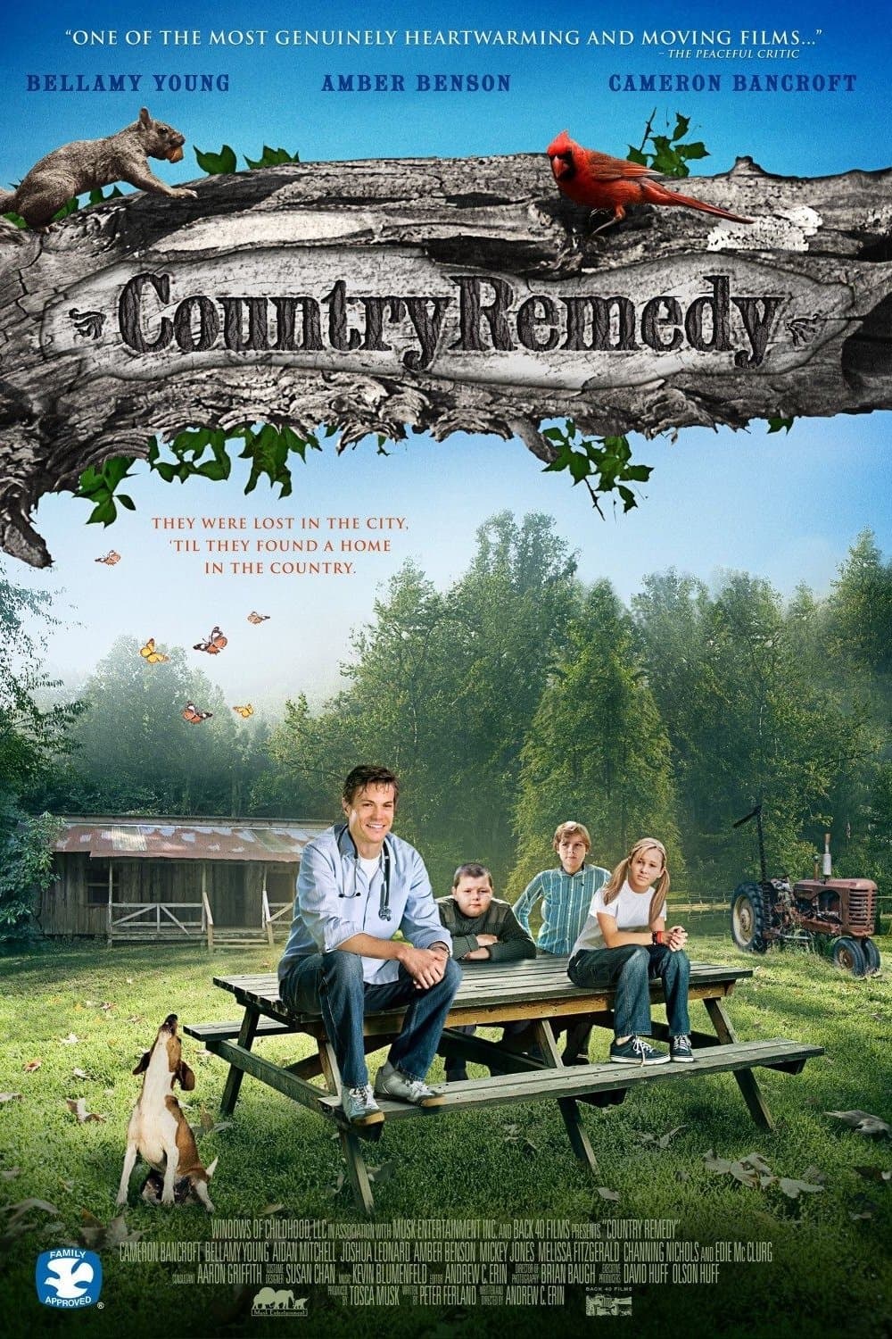 Poster Country Remedy