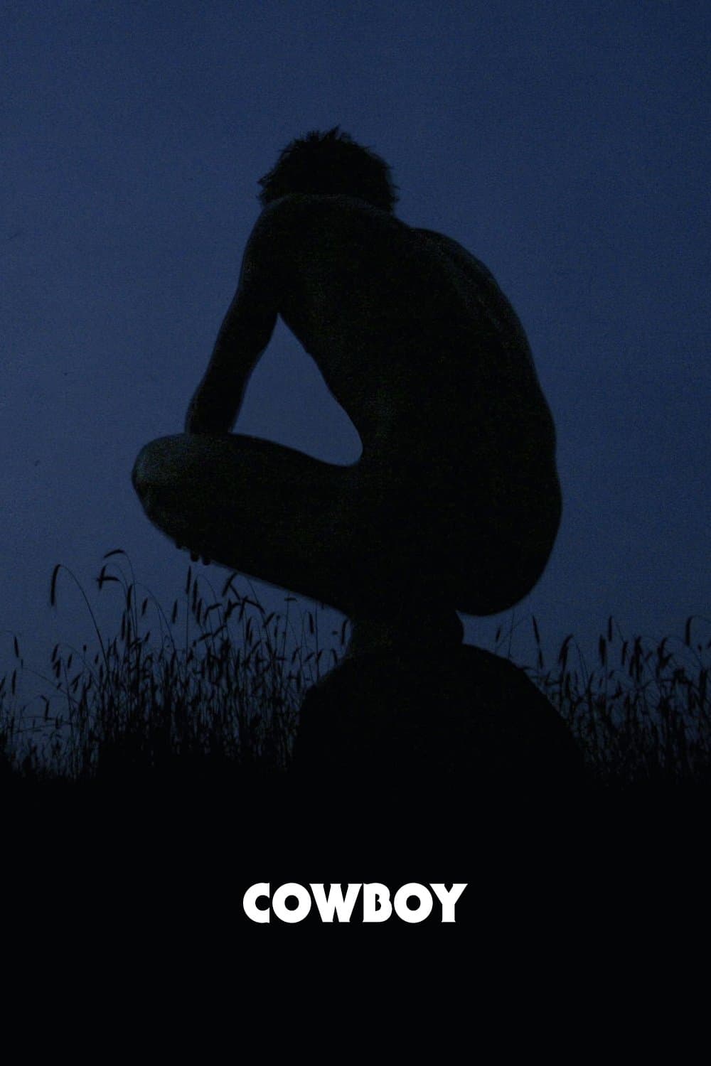 Poster Cowboy