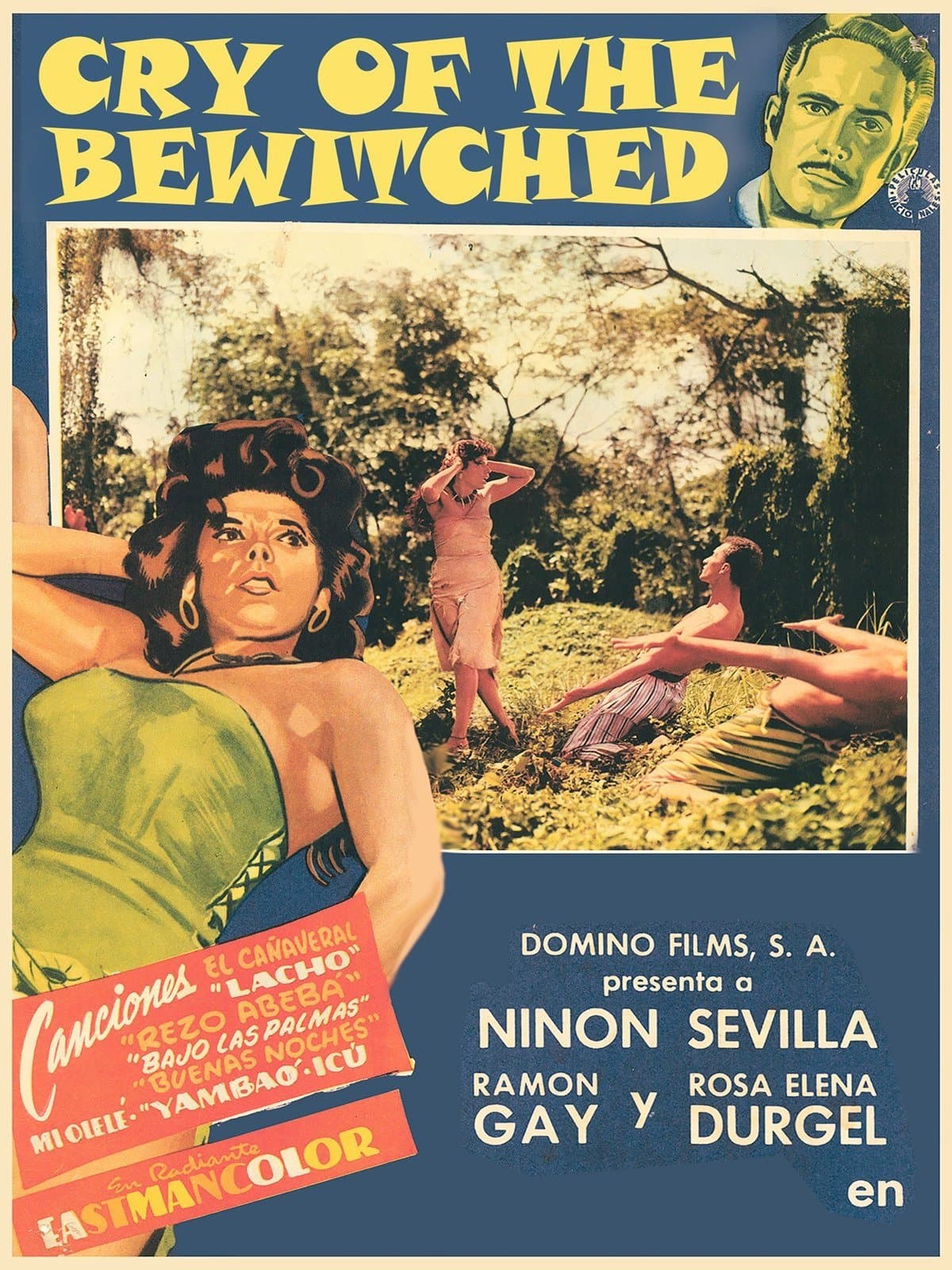 Poster Cry of the Bewitched