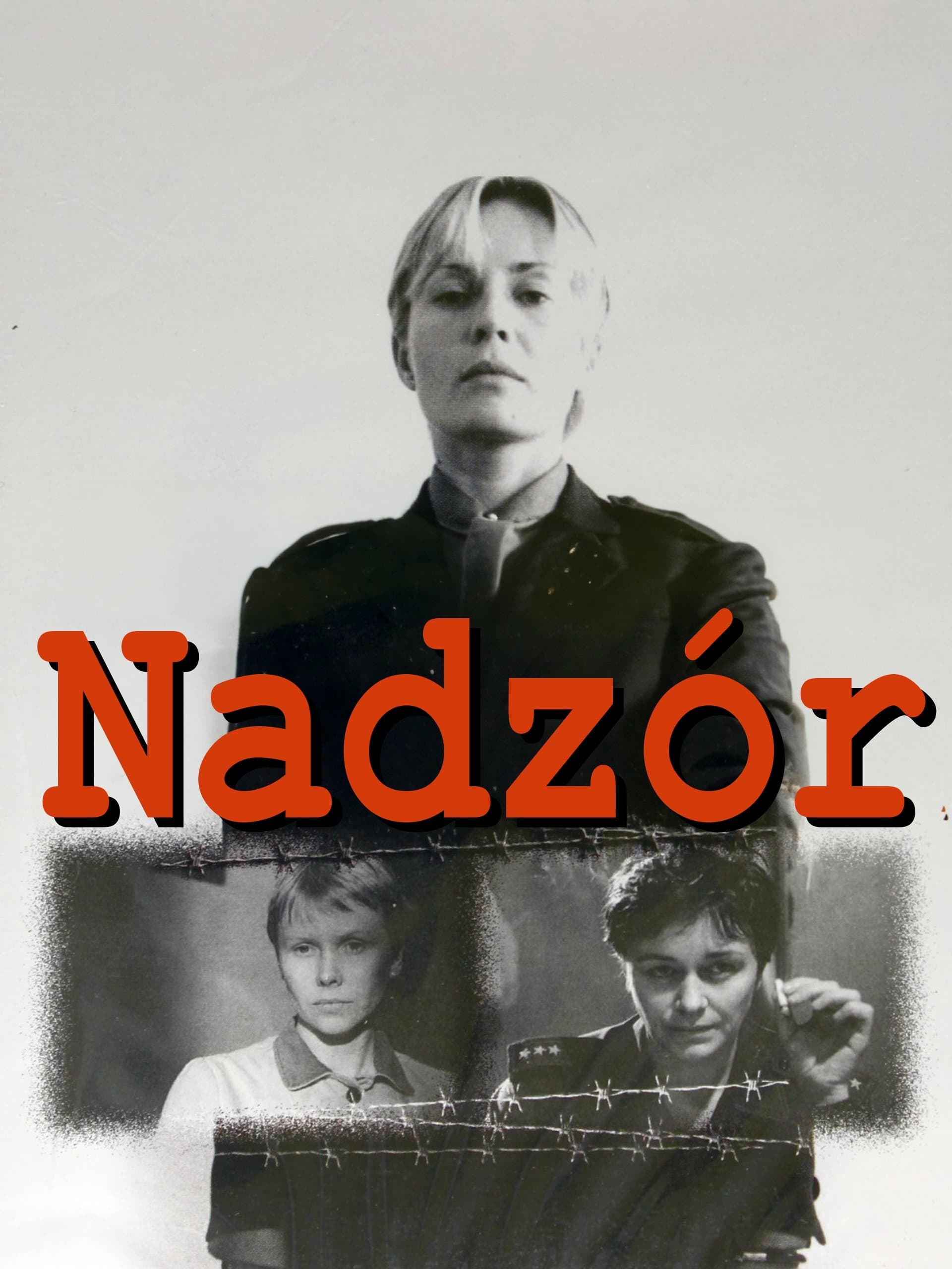 Poster Custody