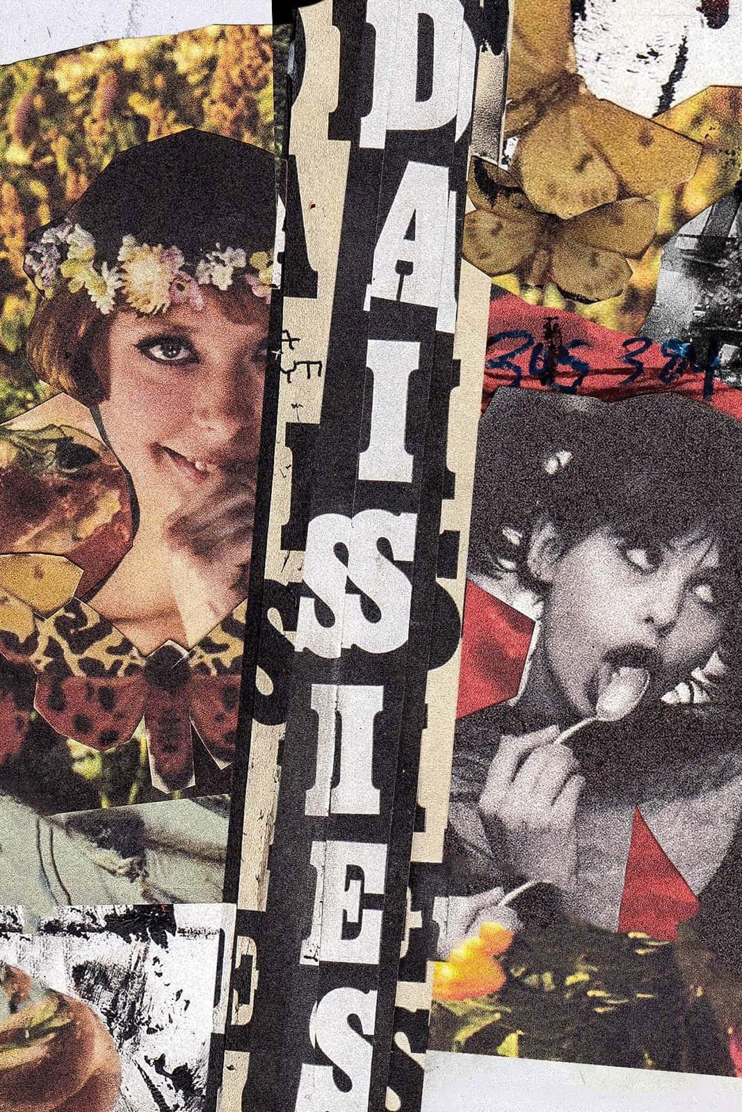 Poster Daisies