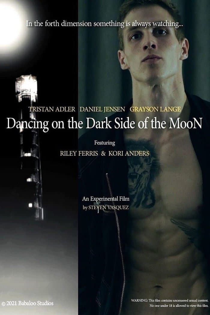Poster Dancing on the Dark Side of the Moon