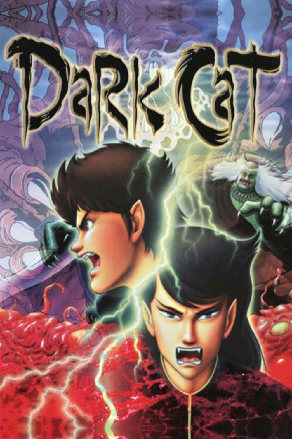Poster Dark Cat