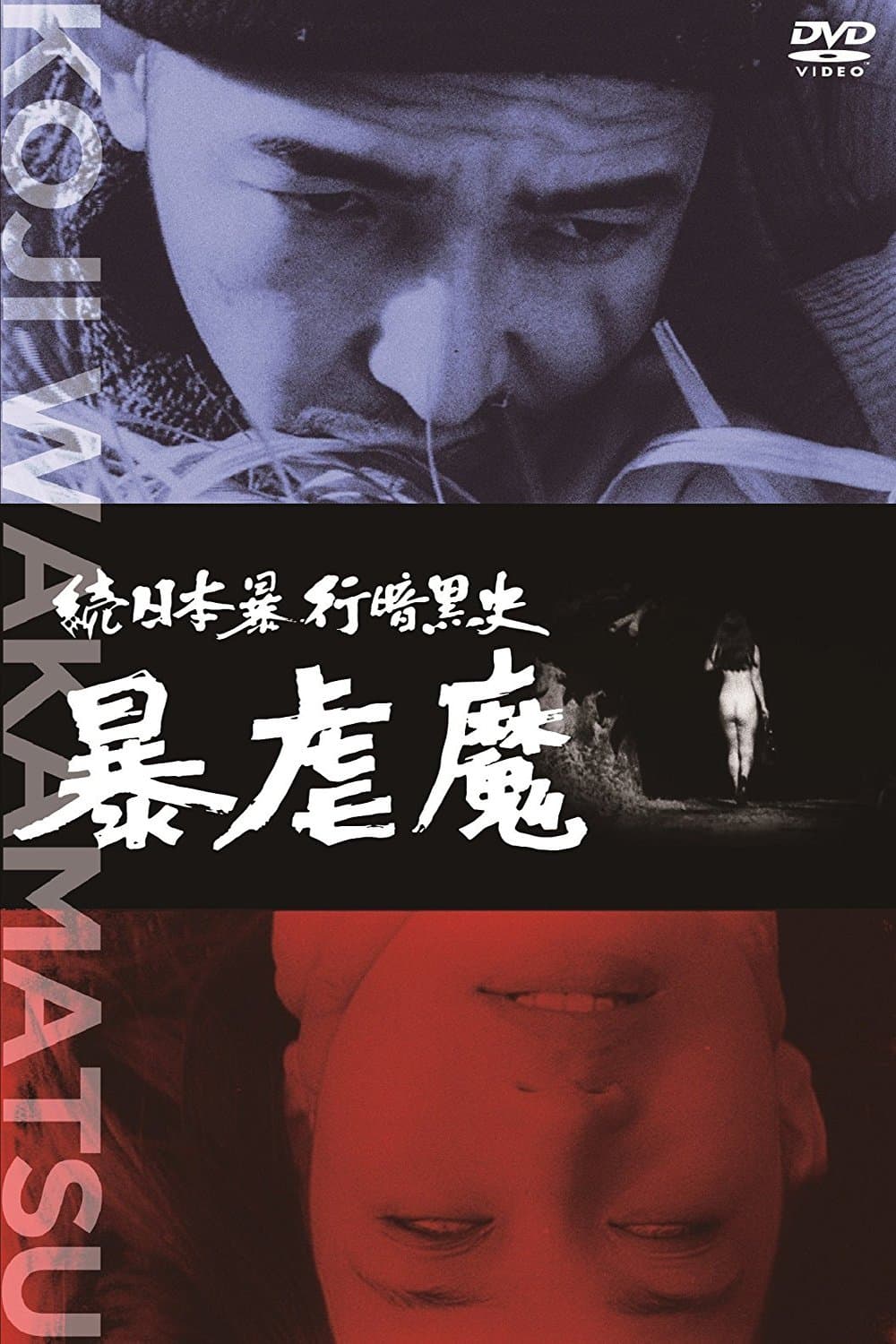 Poster Dark Story of a Japanese Rapist