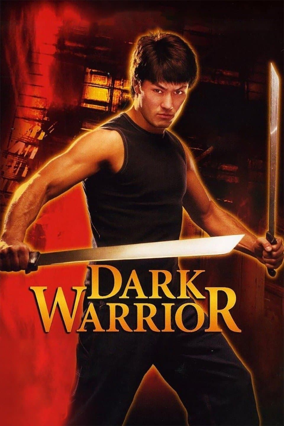 Poster Dark Warrior