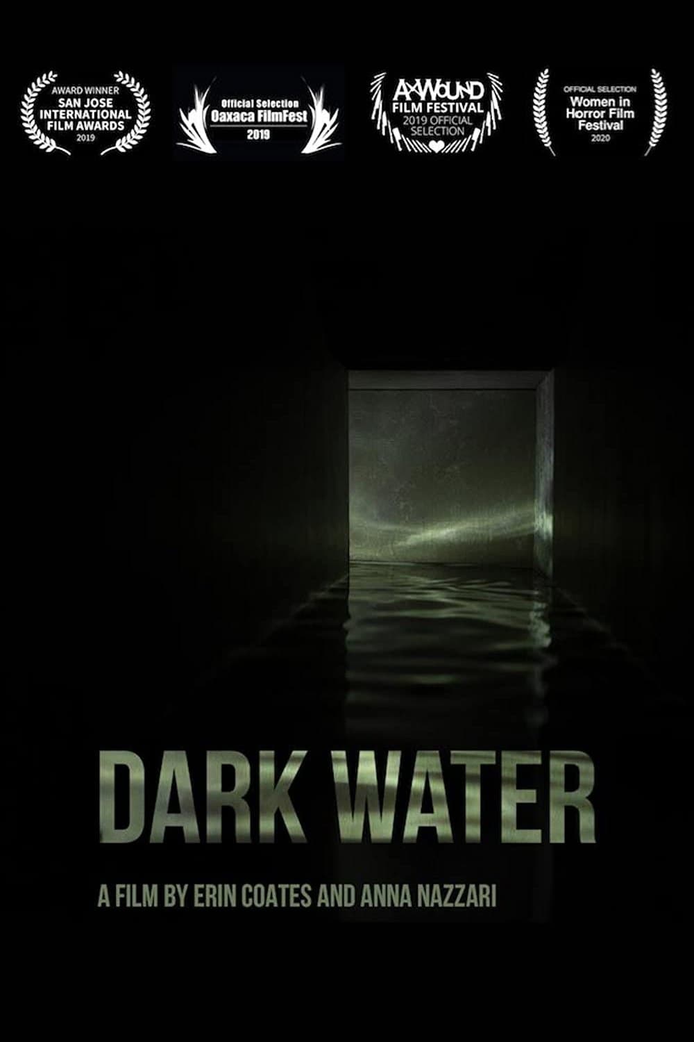 Poster Dark Water