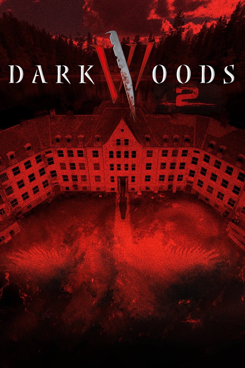 Poster Dark Woods II