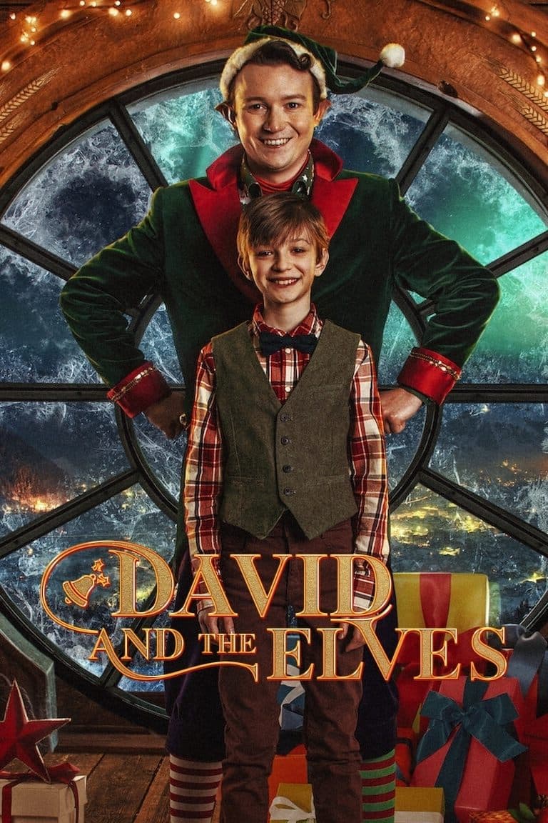 Poster David and the Elves