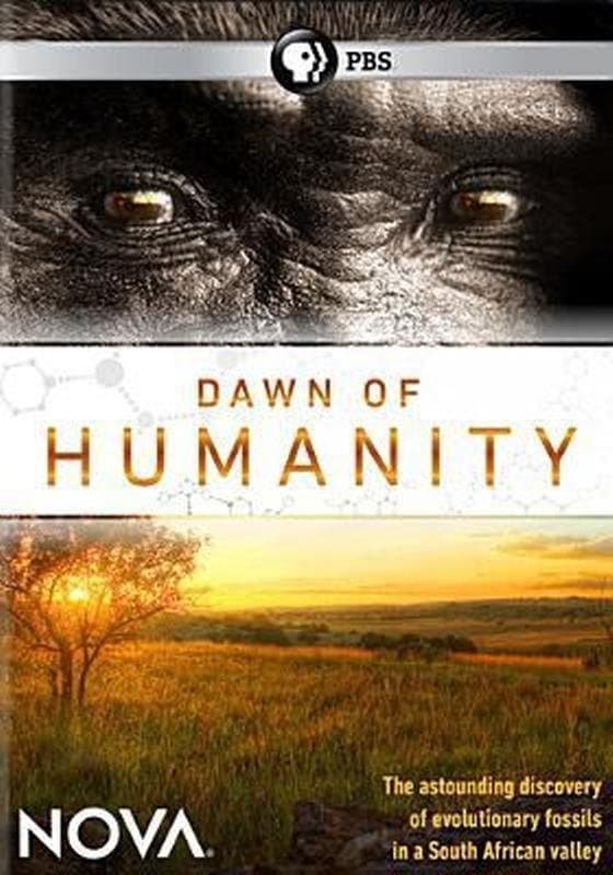 Poster Dawn of Humanity