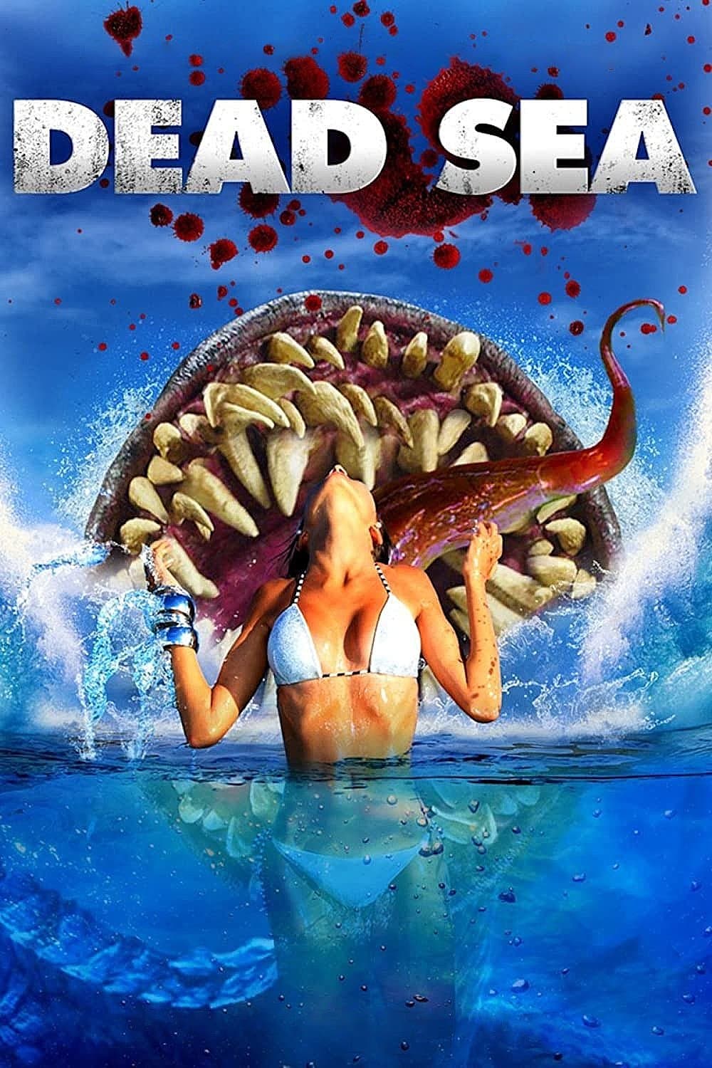 Poster Dead Sea