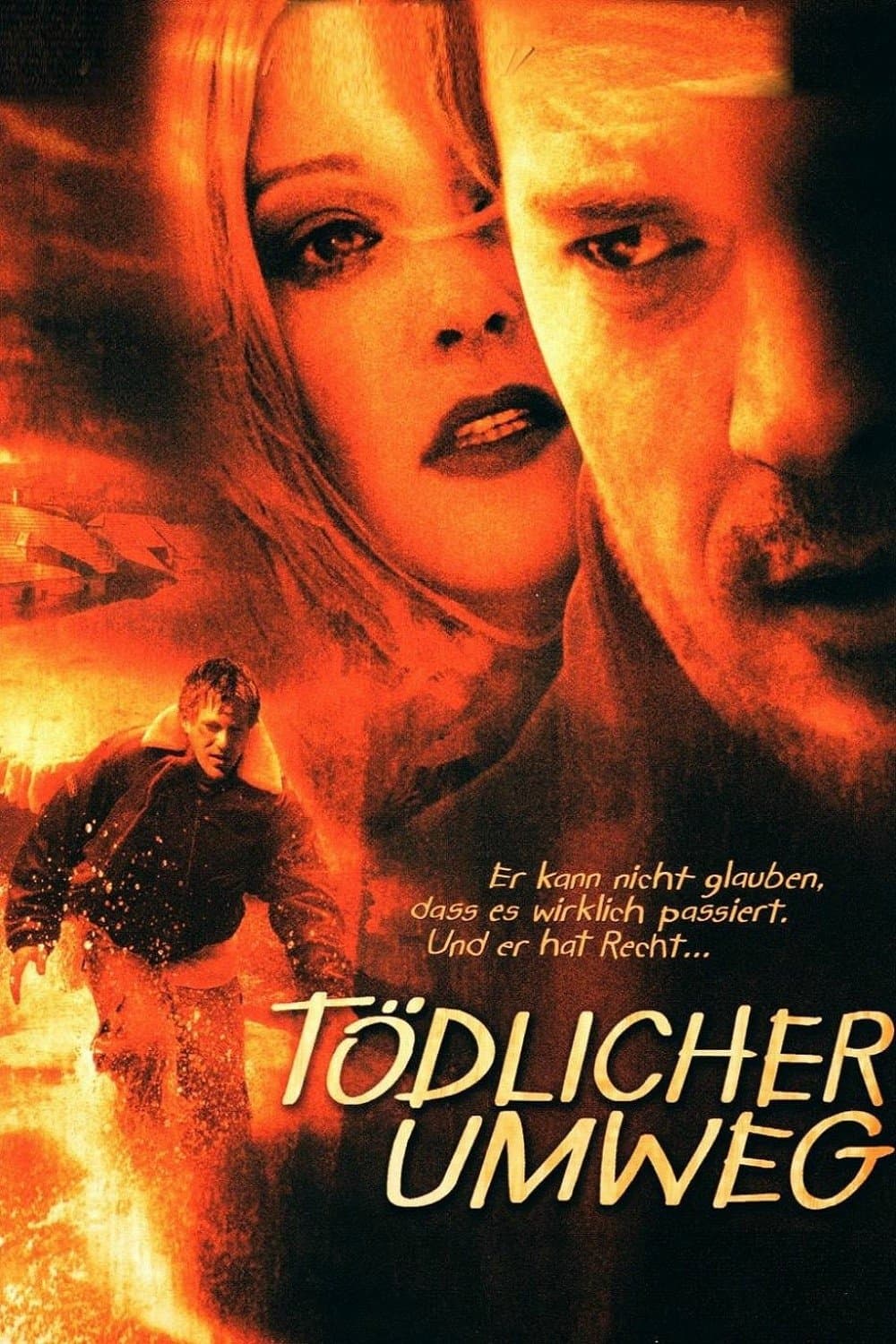Poster Deadly Diversion