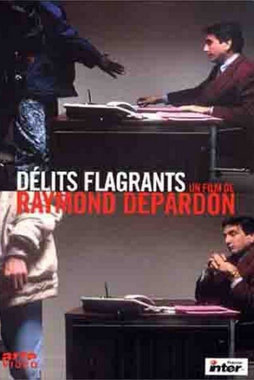 Poster Délits flagrants