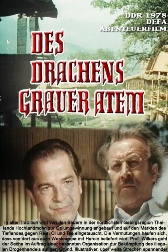 Poster Des Drachens grauer Atem